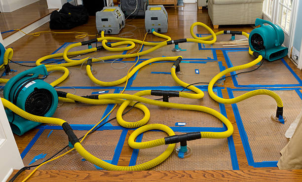 Professional Water Extraction technician working in Wilson, NC